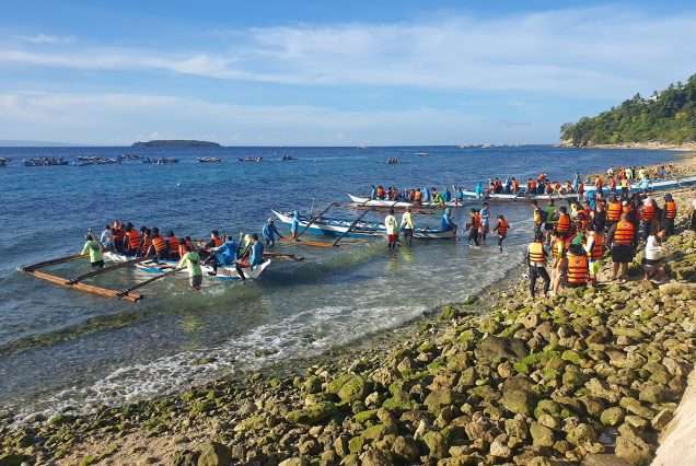 Whale Watching Site in Oslob Cebu- highlights of Oslob Whale Shark Watching