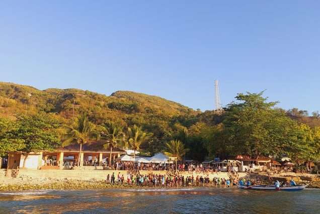 Whale Shark Watching site in Oslob Cebu- highlights of Oslob Whale Shark Watching.