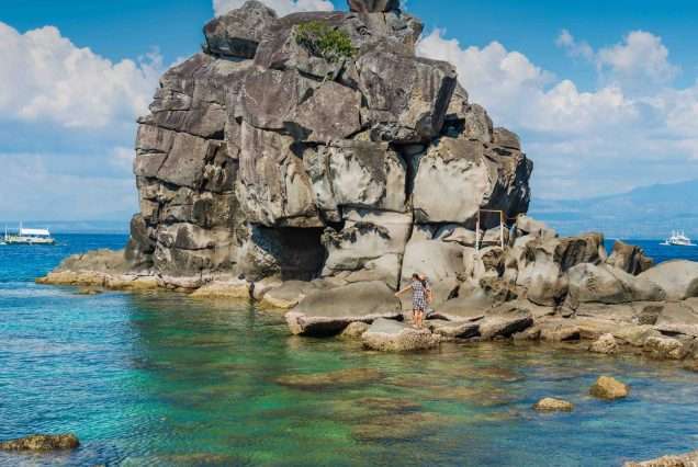 Snorkeling with sea turtles in Apo Island marine sanctuary - highlights of Apo Island Day Tour