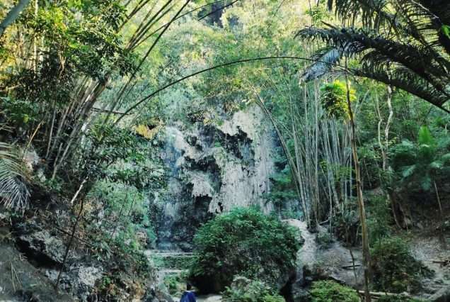 Nature's vibrant in Tumalog Falls in Oslob Cebu.