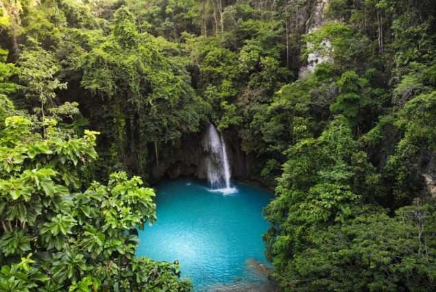 Kawasan Falls located in the Badian,Cebu. Highlights of Oslob Whale Shark & Canyoneering Day Tour.