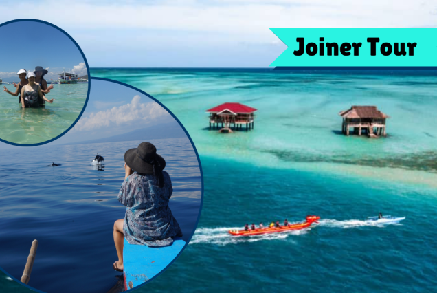 Dolphins swimming near a boat on the Bais Dolphin + Manjuyod Sandbar: Joiner Tour