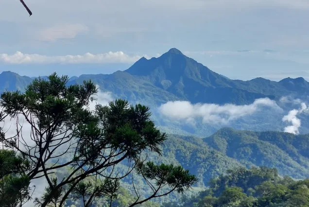 Mount Talinis featured in Mt. Talinis Day Tour