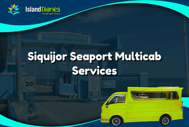 Siquijor Seaport Multicab Services