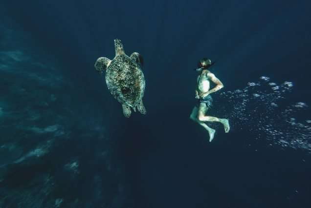 Snorkeling in Balicasag Island