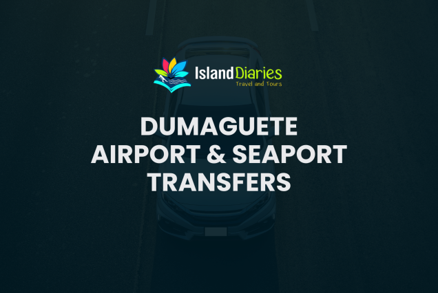 Bohol Tagbiliran Seaport Vehicle Services - Out of Town Transfers