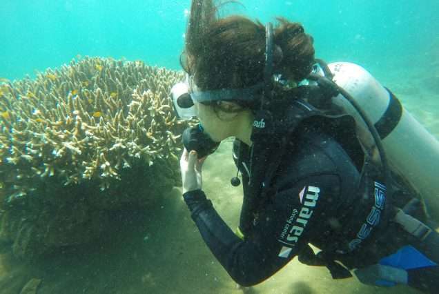 Scuba Diving - highlight of Scuba Diving in Dauin, Negros Oriental Island.