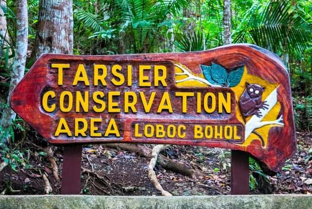 Tarsier Conservation Area in Loboc, Bohol