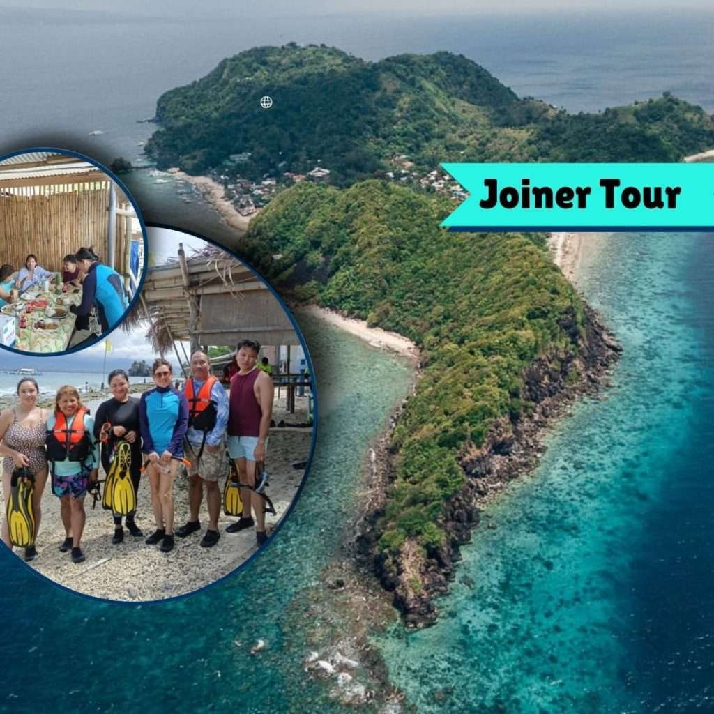 Travelers availing our Apo Island Joiner Tour
