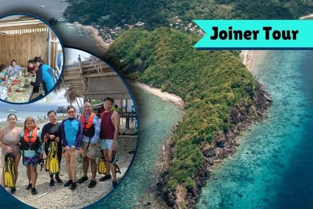 Travelers availing our Apo Island Joiner Tour
