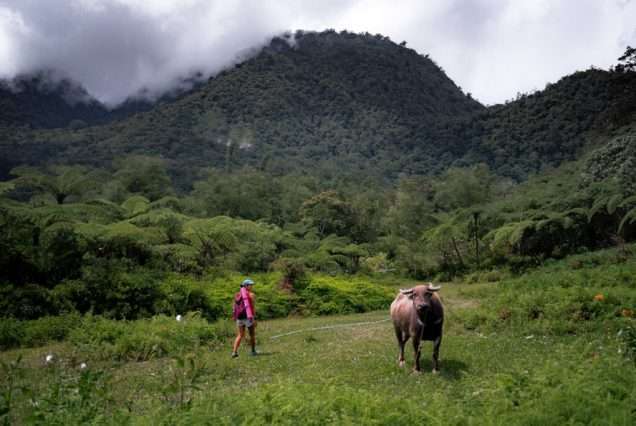 Cuernos de Negros, a highest mountain in Negros. Highlight of Mt. Talinis Day Tour.