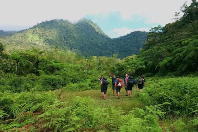 Group of people hiking in Mt. Talinis. highlights of Mt. Talinis Day Tour.
