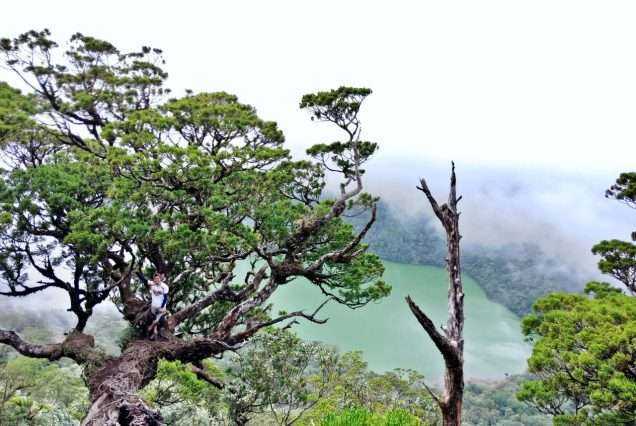 2D1N Mt. Talinis: Trekking Tour Package