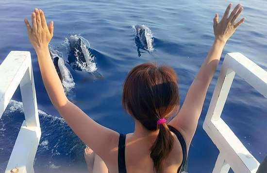 Visitors enjoying the Bais Dolphin Watching
