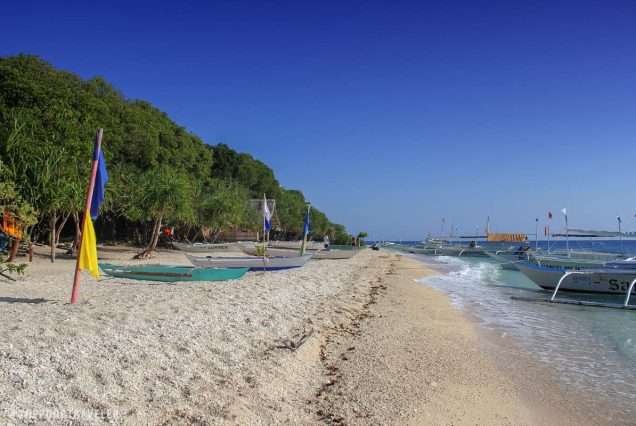 Balicasag Island Sea Side