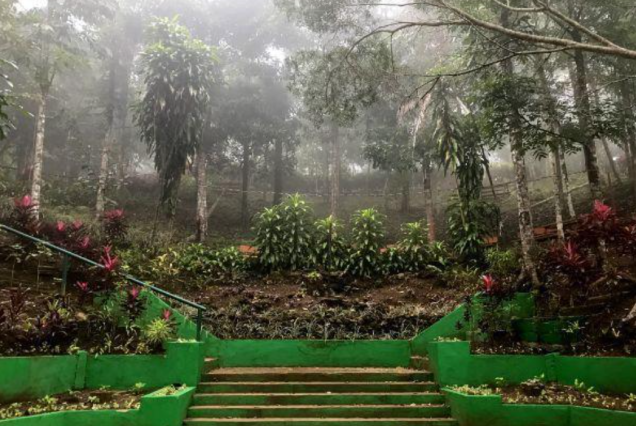 Mt. Bandilaan Stairway in Siquijor Island