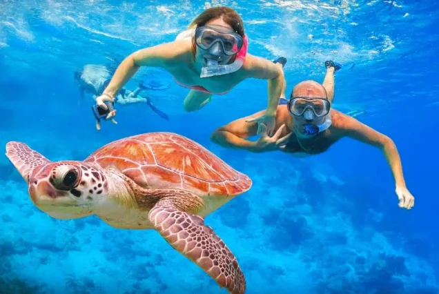 Snorkeling with Turtles in Balicasag Island
