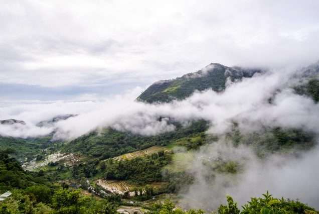 Don Salvador Benedicto Highlands