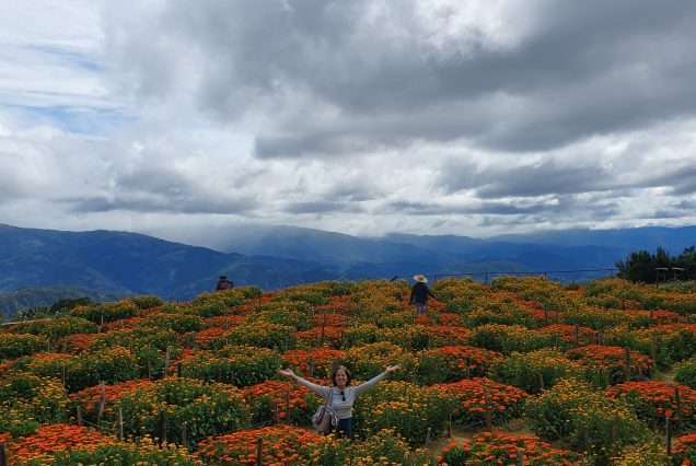 Northern Blossom Flower Farm
