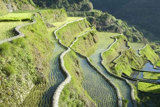 3D2N Sagada-Banaue: Tour Package