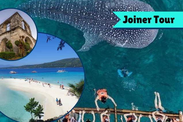 Oslob Whale Shark Joiner Tour