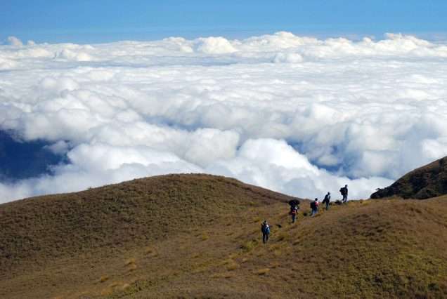 Mt. Ulap in Benguet