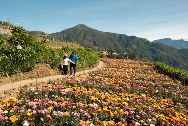 Northern Blossom Flower Farm