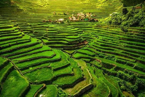 2D1N Banaue: Tour Package