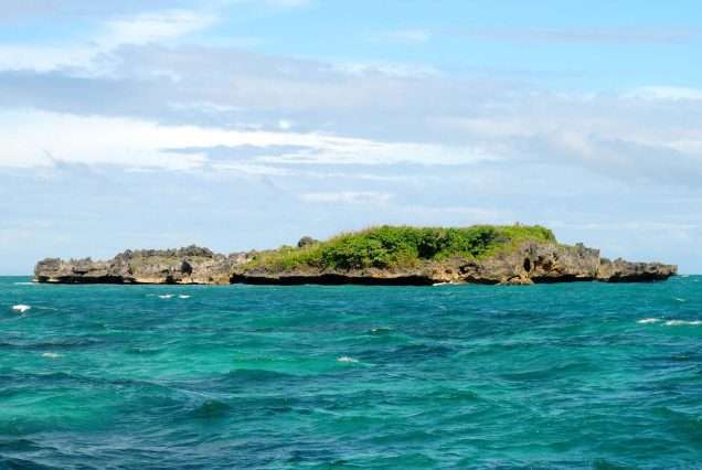 Crocodile Island in Boracay