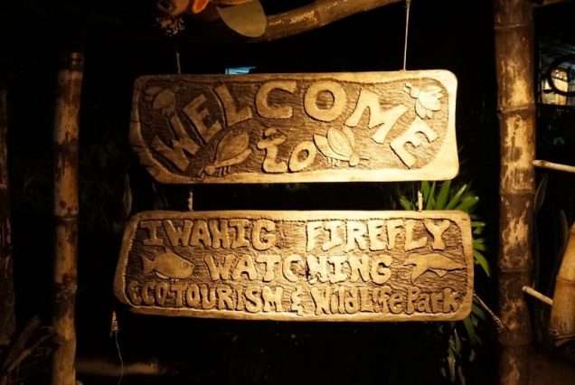 firefly-watching-puerto-princesa