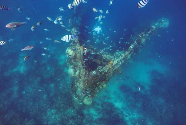 Skeleton Wreck in Coron, Palawan