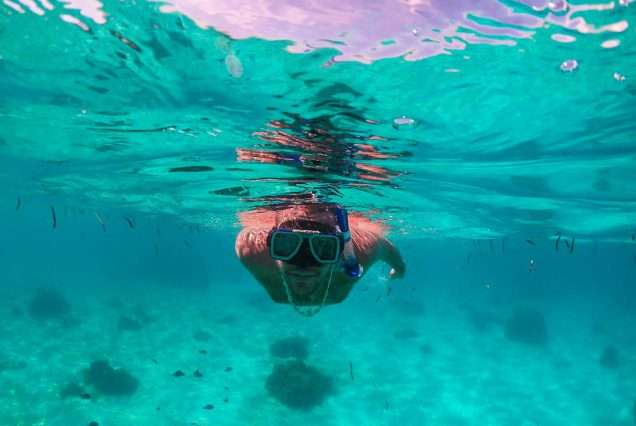 Snorkeling in Pamilacan Bohol