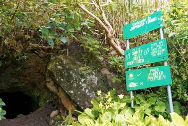 Japanese Tunnel