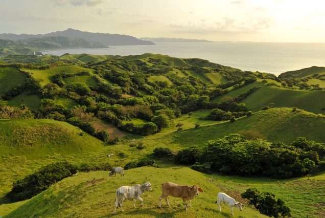 Vayang Rolling Hills