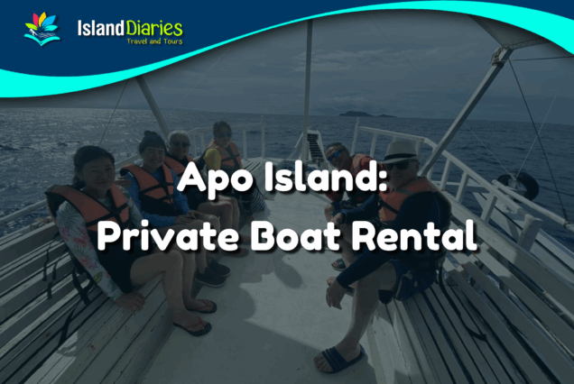 Apo Island: Private Boat Rental