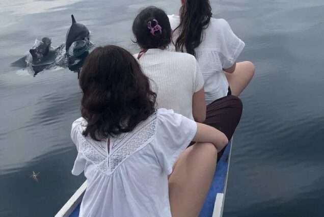 Bais Boat Rental