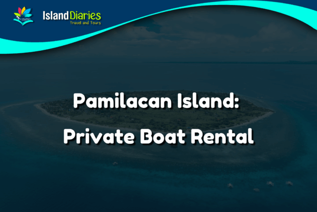 Pamilacan Island: Private Boat Rental
