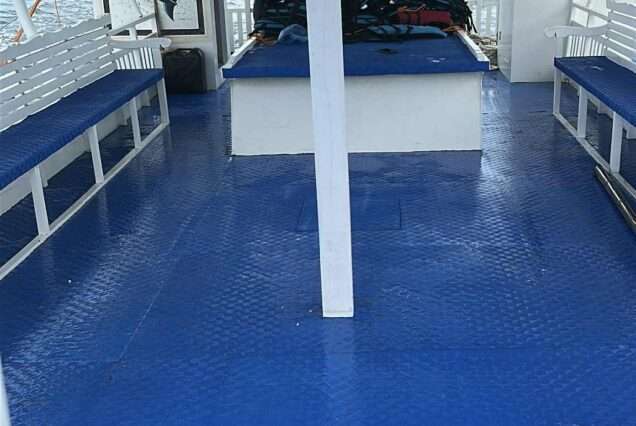 Balicasag Island: Private Boat Rental