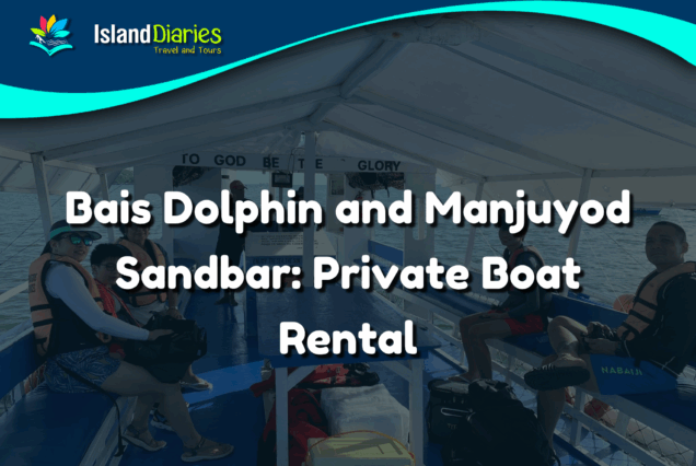 Bais Dolphin and Manjuyod Sandbar: Private Boat Rental