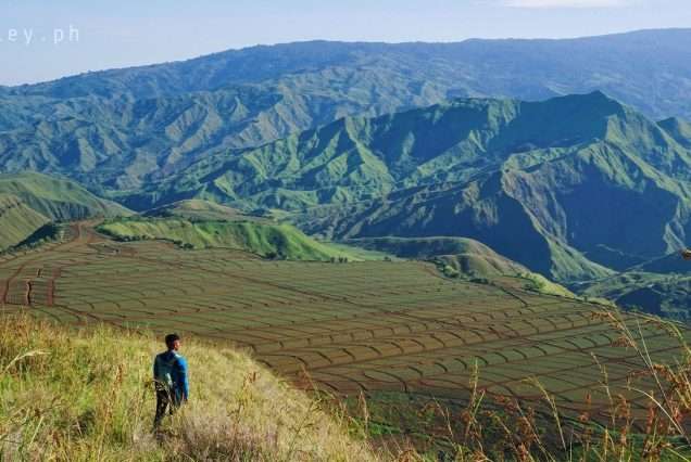 Bukidnon Impasugong Lovers Lane