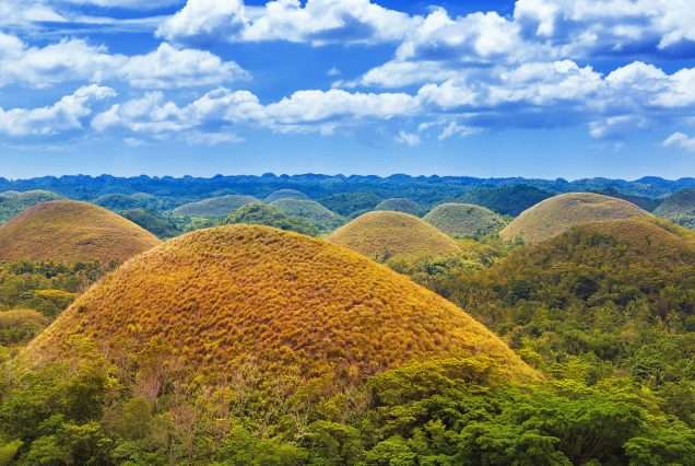 2D1N Bohol: Tour Package C